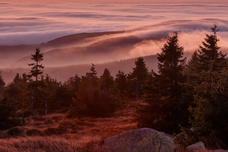 fotokurs harz