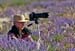 fotoreise-provence-frankreich-2013-07-11_08-53-33