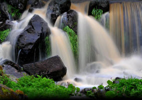 Fotokurs Wasserkuppe inder Rhn