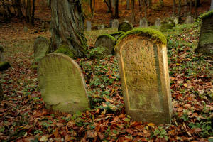 jdischer Friedhof in der Rhn