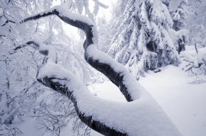 fotokurs winterlandschaft