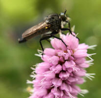 Fotokurs Naturerlebnisse mit dem Smartphone