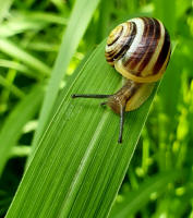 Fotokurs Naturerlebnisse mit dem Smartphone